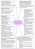 Memory and forgetting (part 2) mind-map