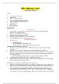 Georgia State University  Microbiology: BIOL2310/ BIO2310/ BIO 2310 BIOL 2310 Microbiology Lab Notes 6 (UPDATED 2020)