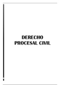Apuntes Derecho Procesal Civil 