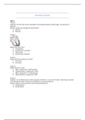 Oefentoets Anatomie-Fysiologie Interne Aandoeningen Leerjaar 2
