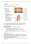 Samenvatting parodontologie H1, H2, H4, H9, H14, H15, H16, H23, H29, H31