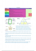 GCSE Biology revsion notes/ guide