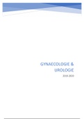 Gyneacologie en Urologie (theorie) 