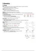 LEVEL 7 IB Biology notes - Topic 3: Genetics