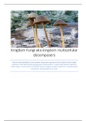 botany- kingdom fungi (general)