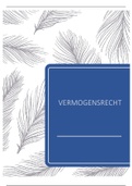 Vermogensrecht (editie 2019) Juridischjuist.info