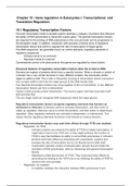 Chapter 15 - Gene Regulation in Eukaryotes I: Transcription and Translation Regulation