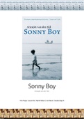 boekverslag - Sonny Boy - Anjet van der Zeil- ISBN: 9789021441702 