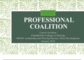 NR 504 Leadership And Nursing Practice: Role Development Week 7 PROFESSIONAL COALITION Graded A