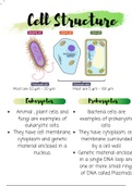 Eurokaryotic cells