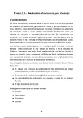 Apuntes del Tema 2.3 de Sedimentología UCV Ciencias del Mar: Ambientes Dominados por el Oleaje. Flechas, Albuferas y Tombolos
