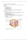 Anatomie en Fysiologie Martini Hoofdstuk 5