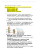 Specificatietabel BF2-KTAN Anatomie