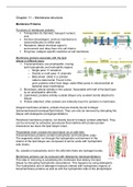 Cell biology -- chapter 11