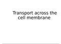 Transport across the cell membrane