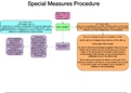 Special Measures Mindmap