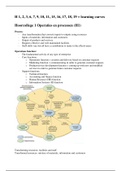 Business Processes Hoorcollege aantekeningen (samenvatting)