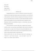 Huckleberry Finn Essay