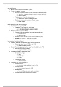 Chapter 12 - Nervous System and Nervous Tissue Lecture Notes