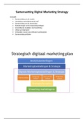 Samenvatting Digital Marketing Strategy (Creative Business jaar 3)