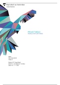 Project Beeld - Creative Business - Groepsverslag CIJFER: 8.8