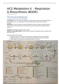 Metabolism - respiration and biosynthesis 