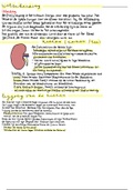 Samenvatting  Anatomie, Fysiologie, Pathalogie