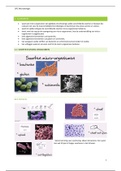 Complete samenvatting Microbiologie jaar 3 periode 2 - Voeding en Diëtetiek HAN