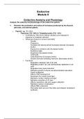 NUR 5315 Module 8 Endocrine Anatomy and Physiology