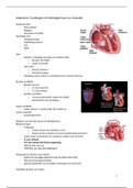 Zeer uitgebreid anatomie, fysiologie, pathologie hart en bloedvaten