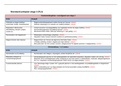 Gedetailleerd stageactieplan voor PL3, incl. 100 leerdoelen