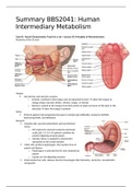 Summary BBS2041 Human Intermediary Metabolism