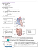 NUR 4120 Cardiovascular Exam 1.Assessment of cardiovascular function(2020/2021) Complete Solutions.