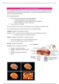 Samenvatting  Anatomie / Pathalogie / Fysiologie 