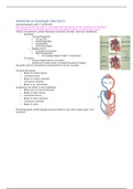 Anatomie en fysiologie interne 