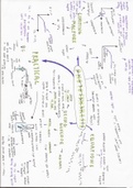 AQA GCSE Biology - photosynthesis summary mind map