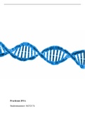 Groepsopdracht + individuele opdracht DNA 
