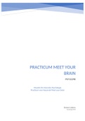 Practicum Meet Your Brain (Maastricht University, Psychology): Afasie