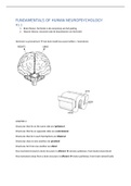 Samenvatting Fundamentals of Human Neuropsychology, ISBN: 9780716795865  Introductie Psychobiologie