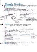 Biology 30 Notes- Molecular Genetics 