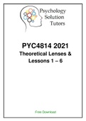 PYC4814 Theoretical Lenses and Lessons