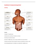 Samenvatting Anatomie en fysiologie, ISBN: 9789043035873 Anatomie 1BL