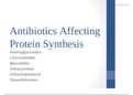 NURS 2110Antimicrobials Part II Antibiotics Affecting Protein Synthesis, Treatment of UTI, TB