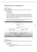 Lecture notes Organization & Management