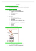 Samenvatting Anatomie en fysiologie voor het MBO, ISBN: 9789043037303  anatomie (de spieren)