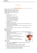 HD Level Notes- Pathogenesis of Human Disease 2
