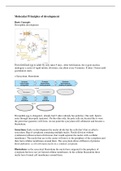 NWI-BB084B - Molecular Principles of Development