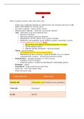 NURS 8022 Exam 4 Study Guide - GI