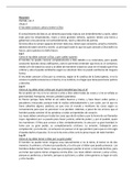 Resumen / Partida vol. II - Título II  / Rey Alfonso X