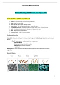 BIOS 242 Midterm Exam Guide / BIOS242 Midterm Exam Guide (Latest-2021): Microbiology: Chamberlain College Of Nursing 